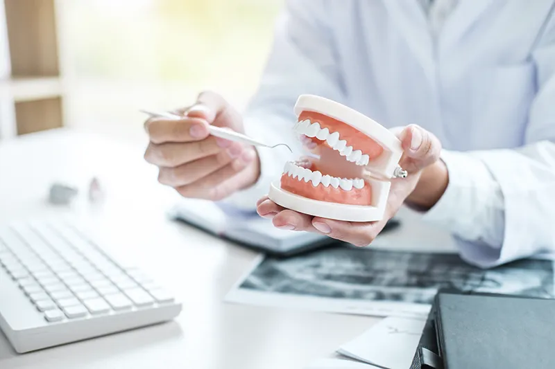Zahnarzt erklÃ¤rt Kiefergelenkprobleme mit Modell eines Kiefers